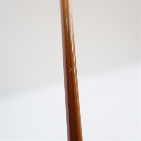 鯰人ＤＮＡＺ－６７Ｍ－２